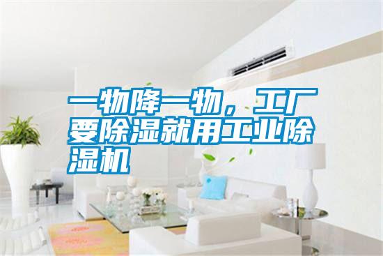 一物降一物，工廠要除濕就用工業(yè)除濕機(jī)