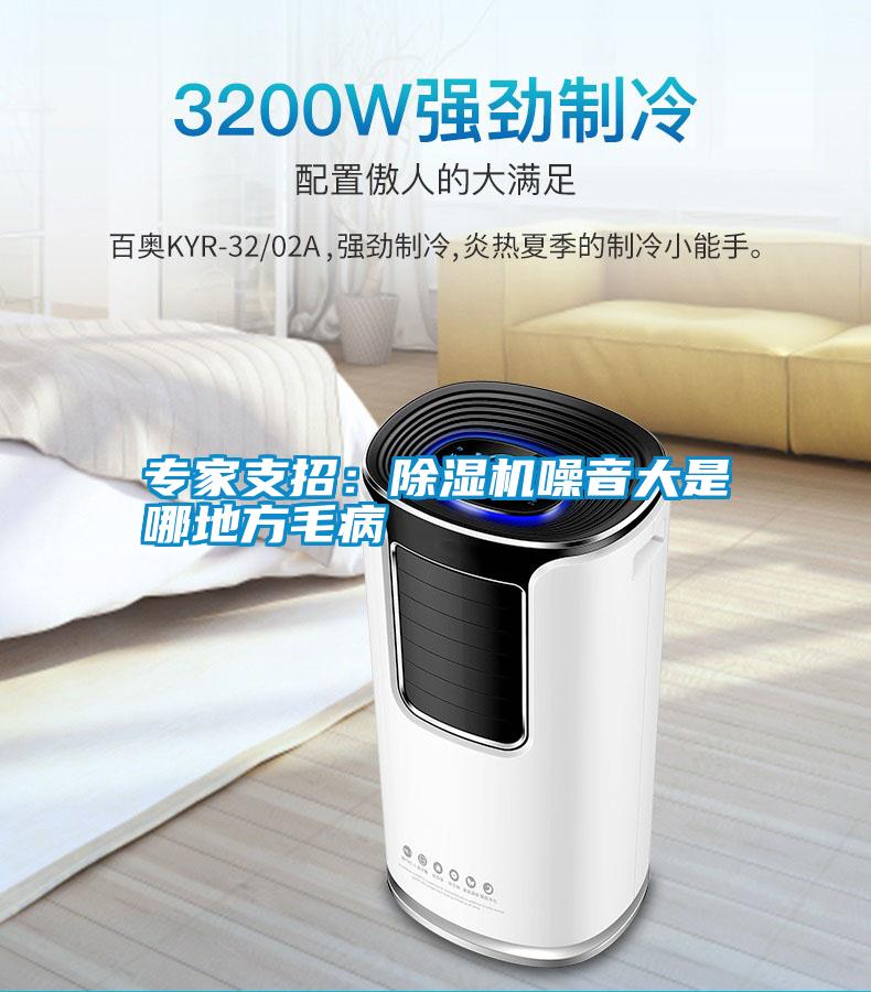 專(zhuān)家支招:除濕機(jī)噪音大是哪地方毛病