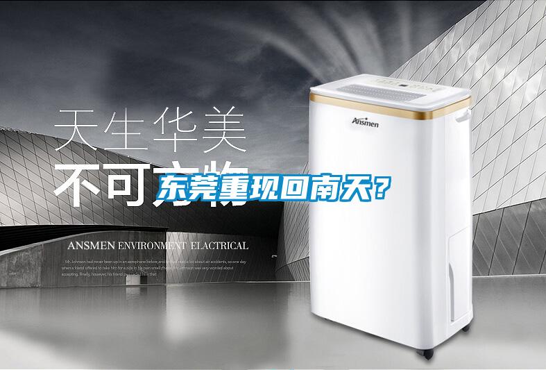 東莞重現(xiàn)回南天？