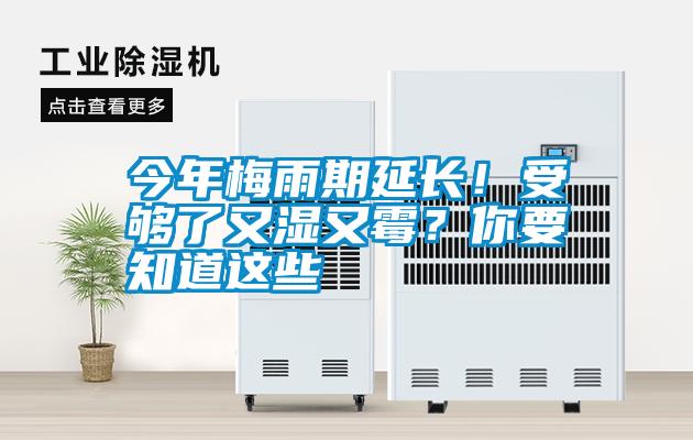 今年梅雨期延長(zhǎng)！受夠了又濕又霉？你要知道這些