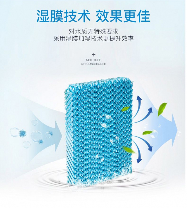 春天潮濕，教你家居防霉妙法