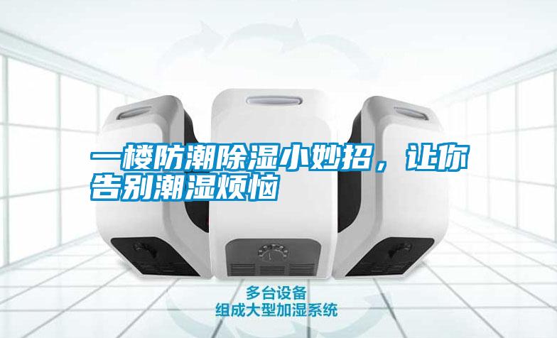 一樓防潮除濕小妙招，讓你告別潮濕煩惱