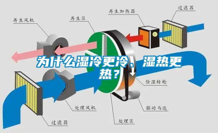 為什么濕冷更冷、濕熱更熱？