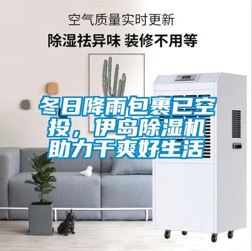 冬日降雨包裹已空投，伊島除濕機助力干爽好生活