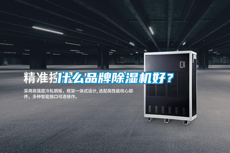 什么品牌除濕機(jī)好？