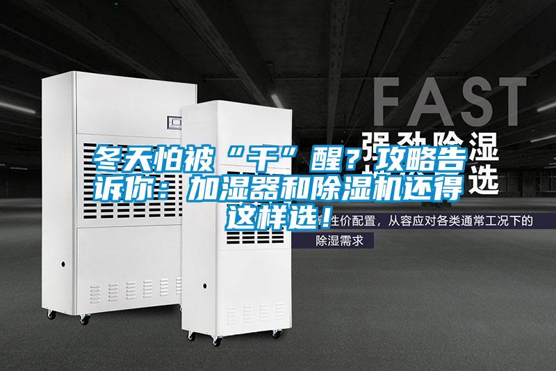 冬天怕被“干”醒？攻略告訴你：加濕器和除濕機還得這樣選！
