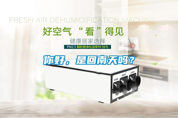 你好，是回南天嗎？