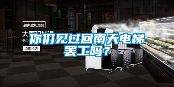 你們見(jiàn)過(guò)回南天電梯罷工嗎？