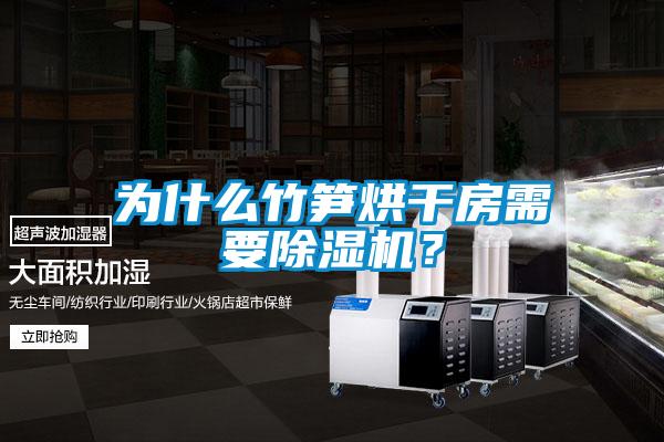 為什么竹筍烘干房需要除濕機(jī)？