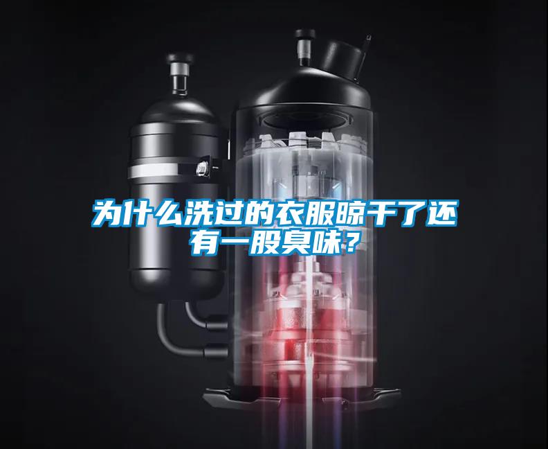 為什么洗過的衣服晾干了還有一股臭味？