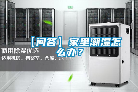 【問答】家里潮濕怎么辦？