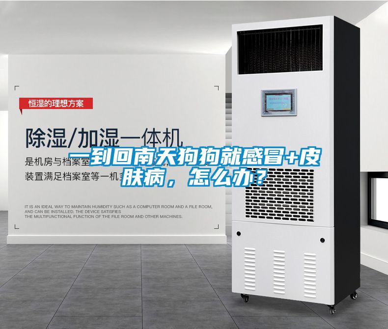一到回南天狗狗就感冒+皮膚病，怎么辦？