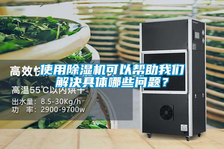 使用除濕機可以幫助我們解決具體哪些問題?