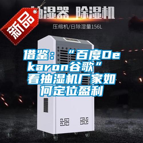 借鑒:“百度Dekaron谷歌” 看抽濕機(jī)廠家如何定位盈利