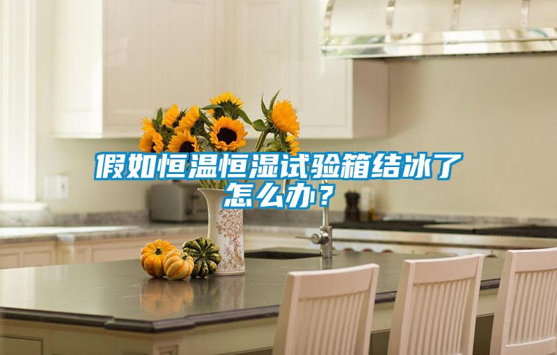 假如恒溫恒濕試驗(yàn)箱結(jié)冰了怎么辦？