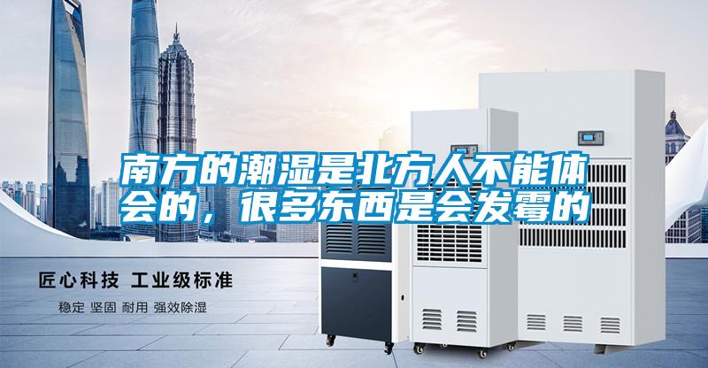 南方的潮濕是北方人不能體會(huì)的,很多東西是會(huì)發(fā)霉的