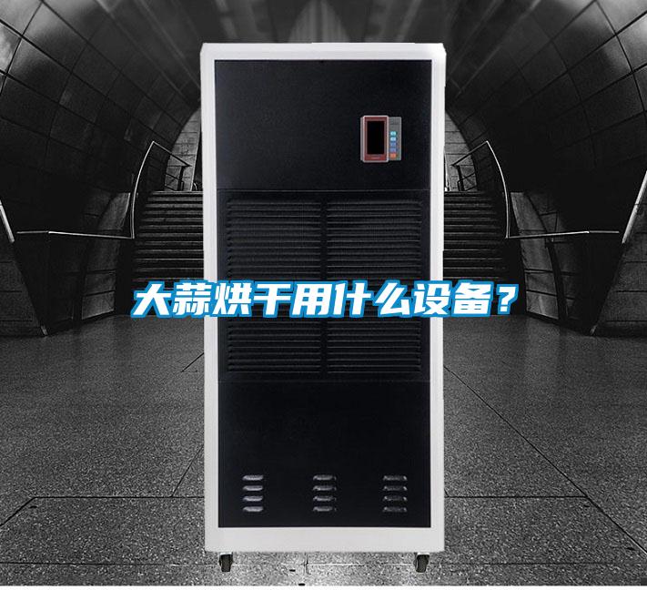 大蒜烘干用什么設(shè)備？