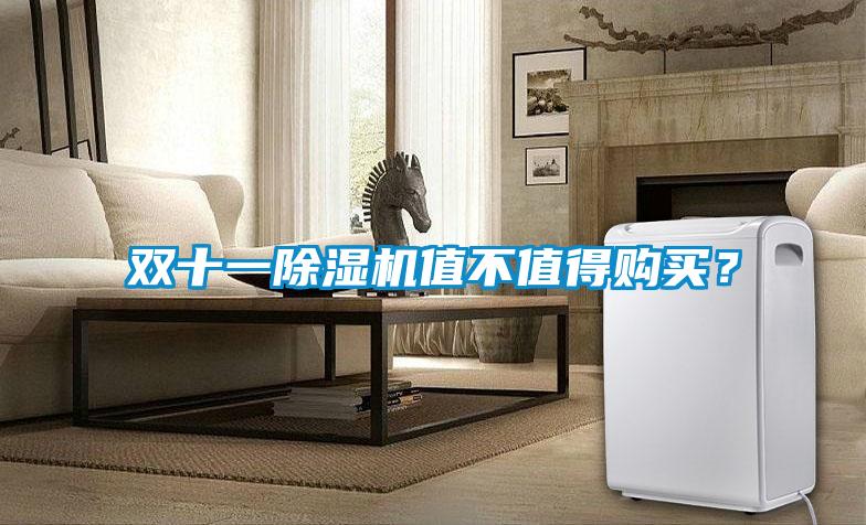 雙十一除濕機(jī)值不值得購買？
