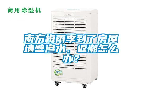 南方梅雨季到了房屋墻壁滲水、返潮怎么辦？