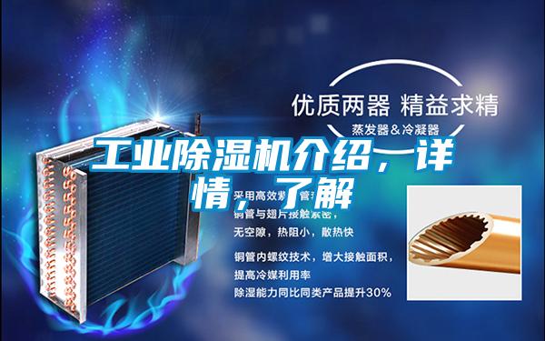 工業(yè)除濕機(jī)介紹，詳情，了解
