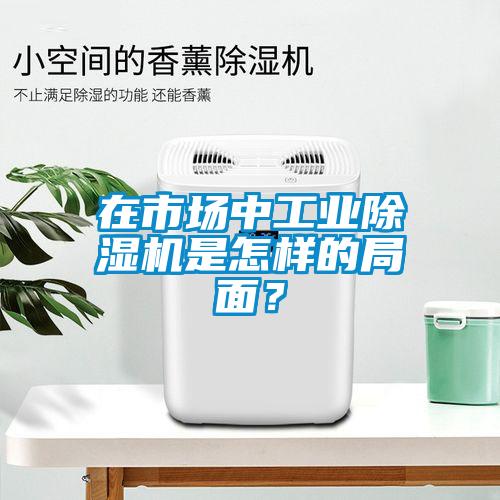 在市場中工業(yè)除濕機是怎樣的局面？