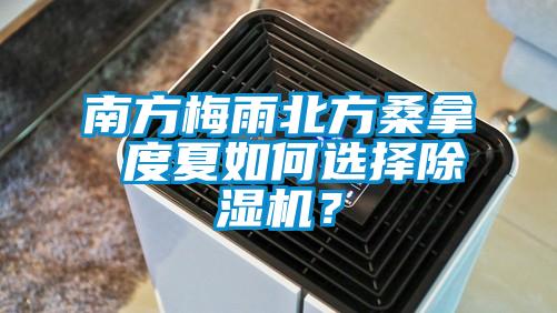 南方梅雨北方桑拿 度夏如何選擇除濕機(jī)?