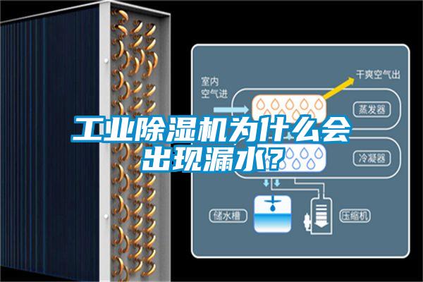 工業(yè)除濕機為什么會出現(xiàn)漏水？