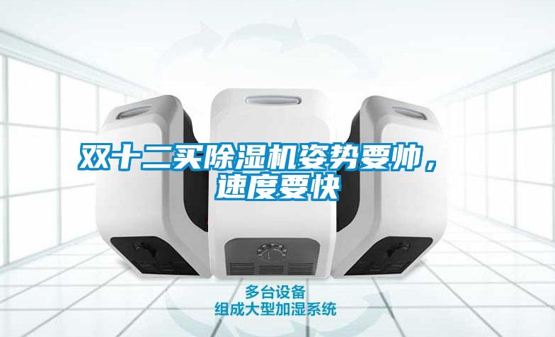 雙十二買除濕機(jī)姿勢(shì)要帥， 速度要快