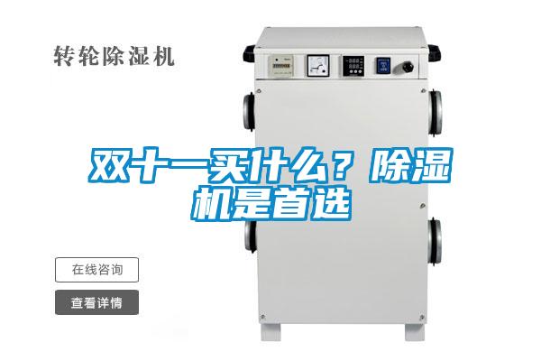 雙十一買什么？除濕機(jī)是首選