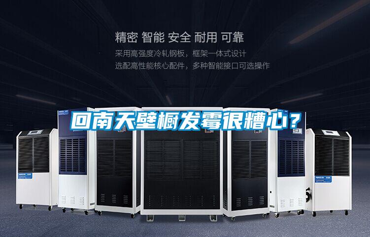 回南天壁櫥發(fā)霉很糟心？