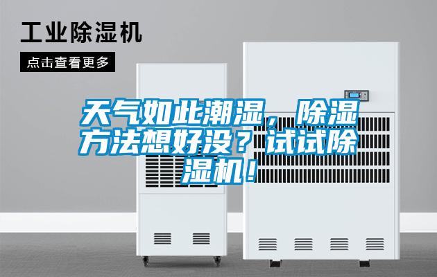 天氣如此潮濕，除濕方法想好沒？試試除濕機！