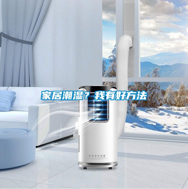 家居潮濕？我有好方法