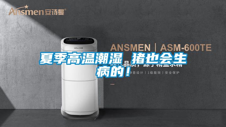 夏季高溫潮濕 豬也會生病的！