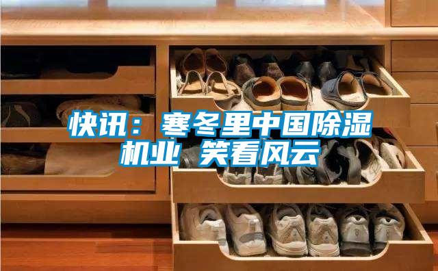 快訊:寒冬里中國除濕機業(yè) 笑看風云