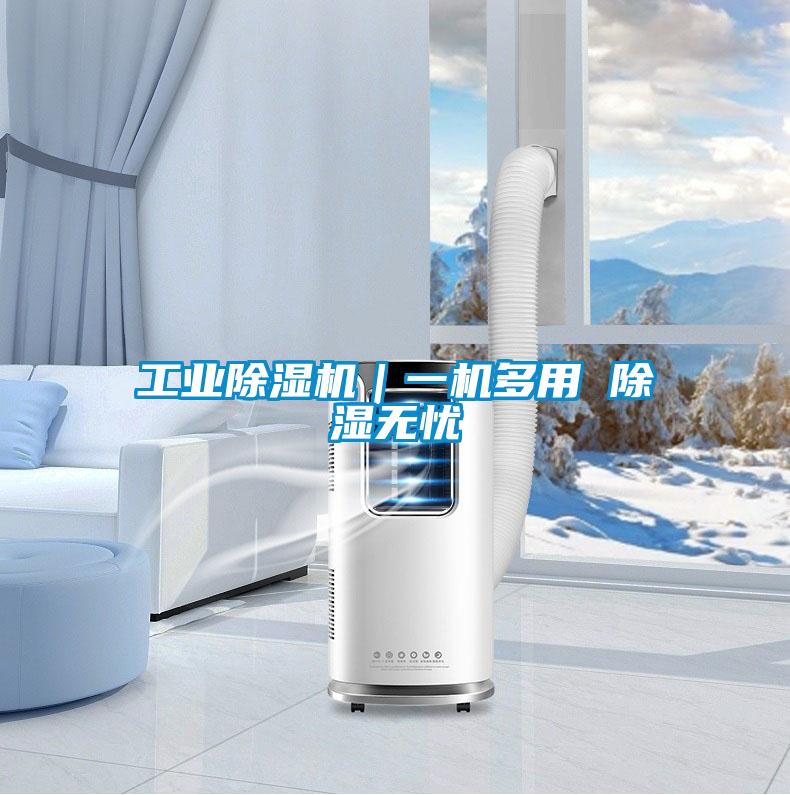 工業(yè)除濕機|一機多用 除濕無憂