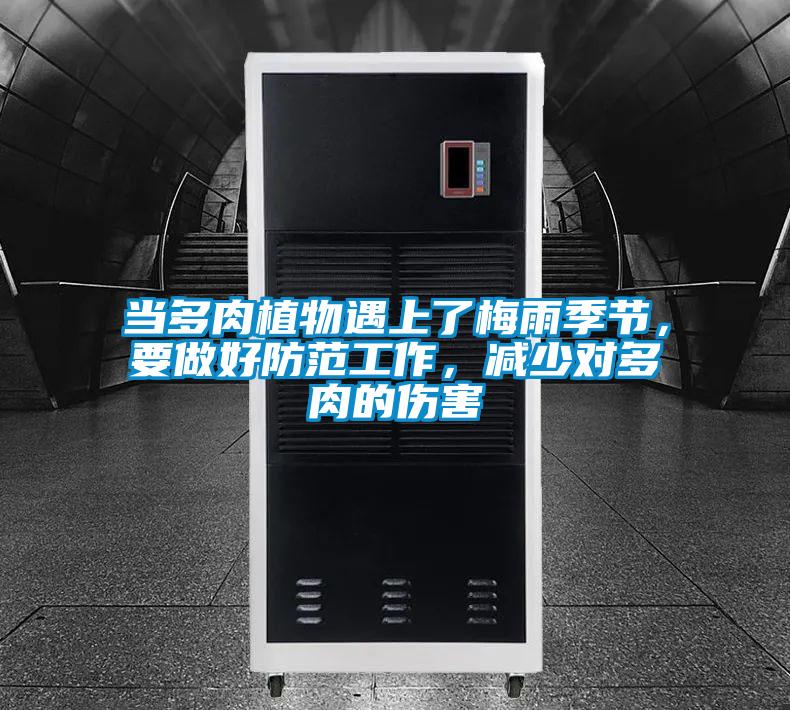 當(dāng)多肉植物遇上了梅雨季節(jié)，要做好防范工作，減少對(duì)多肉的傷害