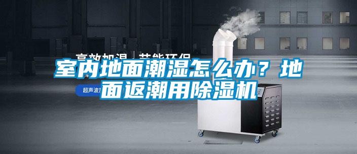 室內(nèi)地面潮濕怎么辦？地面返潮用除濕機(jī)