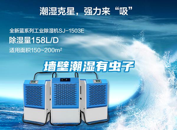 墻壁潮濕有蟲(chóng)子