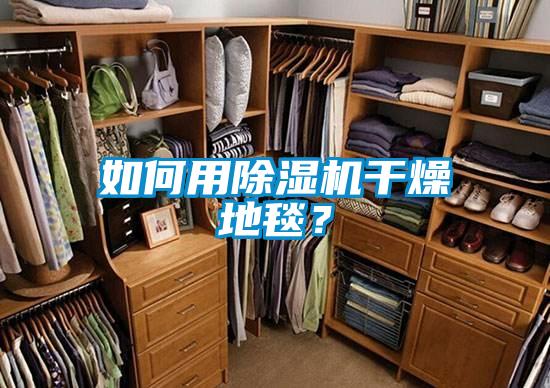 如何用除濕機(jī)干燥地毯？