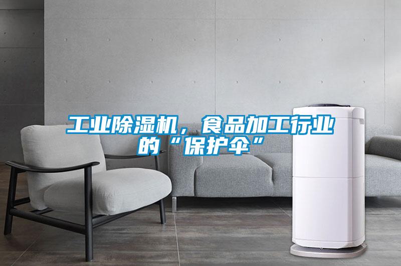 工業(yè)除濕機(jī)，食品加工行業(yè)的“保護(hù)傘”