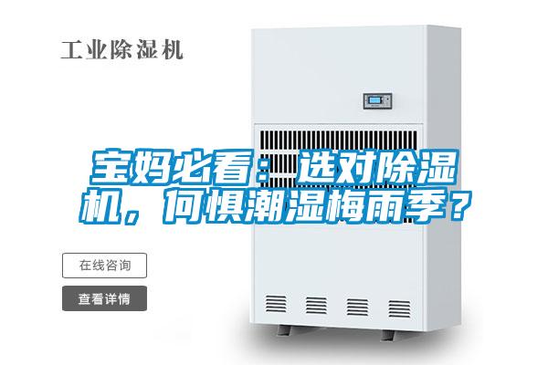 寶媽必看：選對除濕機(jī)，何懼潮濕梅雨季？