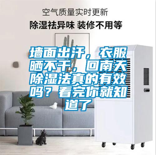墻面出汗，衣服曬不干，回南天除濕法真的有效嗎？看完你就知道了