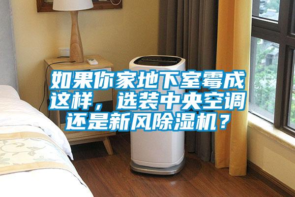 如果你家地下室霉成這樣，選裝中央空調(diào)還是新風(fēng)除濕機(jī)？