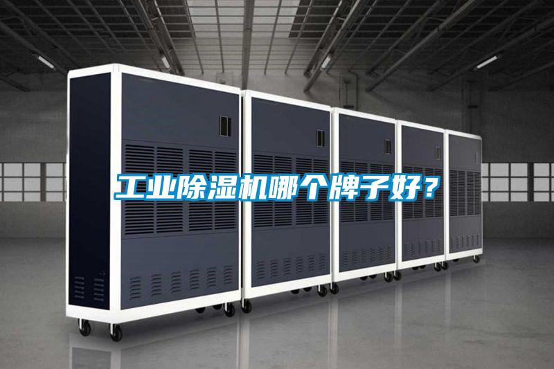 工業(yè)除濕機(jī)哪個(gè)牌子好？