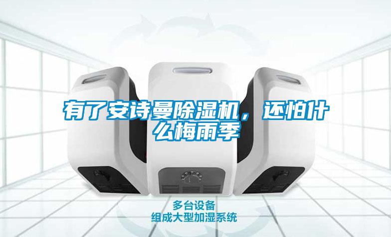 有了安詩(shī)曼除濕機(jī)，還怕什么梅雨季