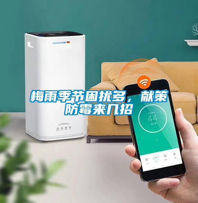 梅雨季節(jié)困擾多，獻策防霉來幾招