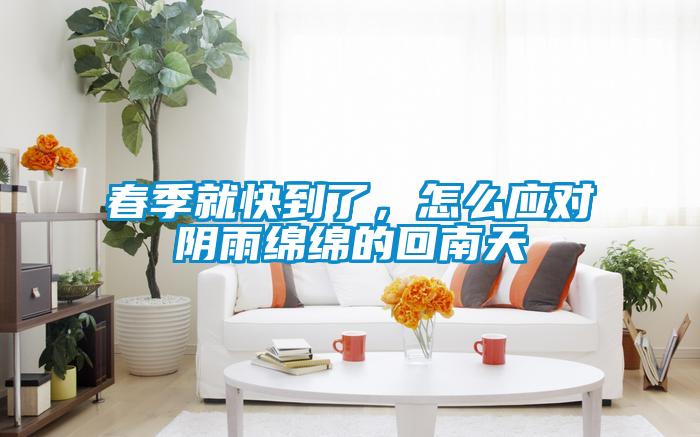 春季就快到了，怎么應對陰雨綿綿的回南天