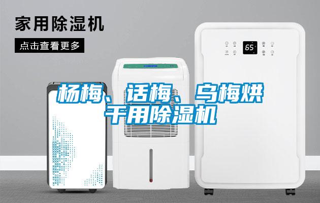 楊梅、話梅、烏梅烘干用除濕機