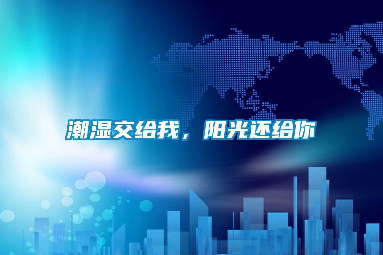 潮濕交給我，陽光還給你