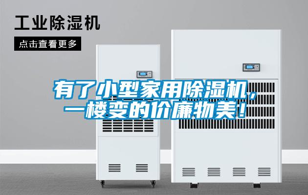 有了小型家用除濕機(jī)，一樓變的價(jià)廉物美！
